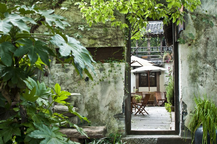 Foto di 育银 戚 da Pixabay